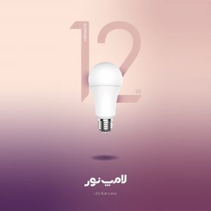 لامپ ال ای دی حبابی 12 وات نور